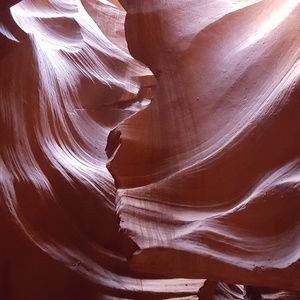 Meet your Posher, Sal